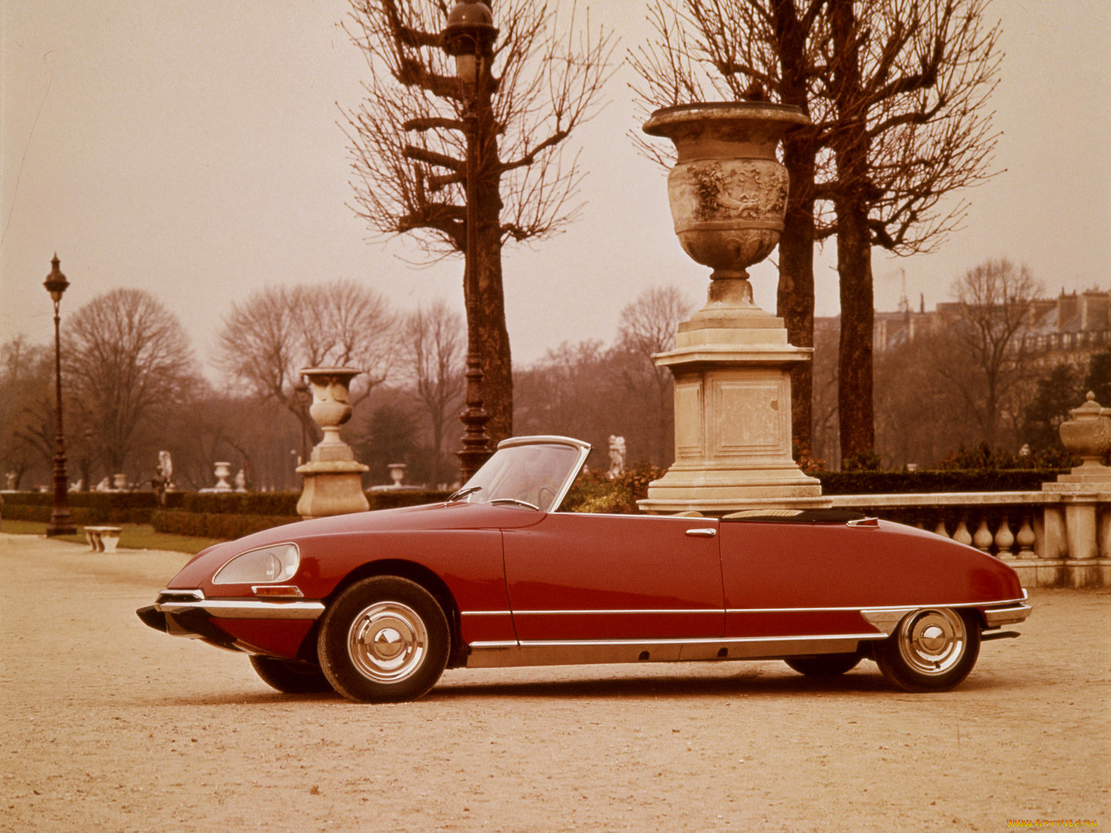 , citroen